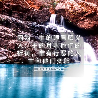 Picture 05 - 彼 得 前 书 3:12 CUVS - 因 为 ， 主 的 眼 看 顾 义 人 ； 主 - Bible Verse Picture