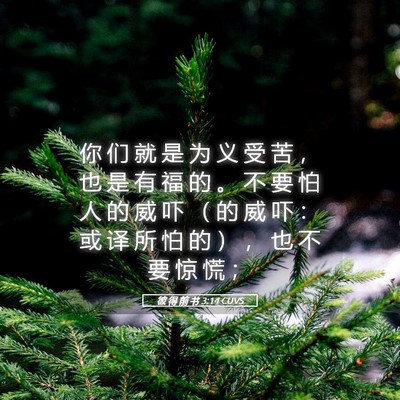 Picture 05 - 彼 得 前 书 3:14 CUVS - 你 们 就 是 为 义 受 苦 ， 也 是 有 - Bible Verse Picture