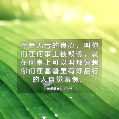 Picture 05 - 彼 得 前 书 3:16 CUVS - 存 着 无 亏 的 良 心 ， 叫 你 们 在 - Bible Verse Picture