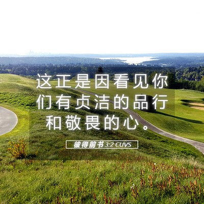Picture 05 - 彼 得 前 书 3:2 CUVS - 这 正 是 因 看 见 你 们 有 贞 洁 的 - Bible Verse Picture