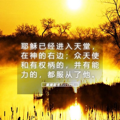 Picture 05 - 彼 得 前 书 3:22 CUVS - 耶 稣 已 经 进 入 天 堂 ， 在 神 的 - Bible Verse Picture