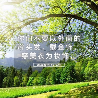 Picture 05 - 彼 得 前 书 3:3 CUVS - 你 们 不 要 以 外 面 的 辫 头 发 ， - Bible Verse Picture