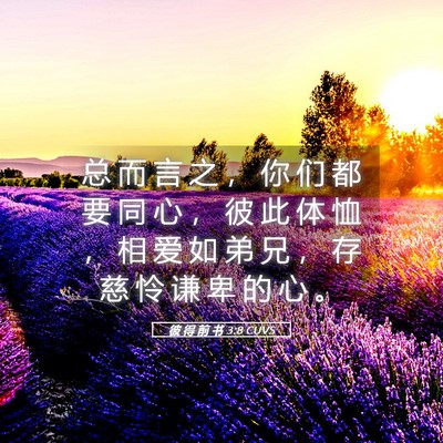 Picture 05 - 彼 得 前 书 3:8 CUVS - 总 而 言 之 ， 你 们 都 要 同 心 ， - Bible Verse Picture