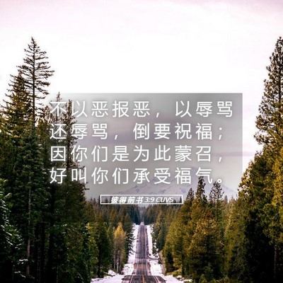 Picture 05 - 彼 得 前 书 3:9 CUVS - 不 以 恶 报 恶 ， 以 辱 骂 还 辱 骂 - Bible Verse Picture