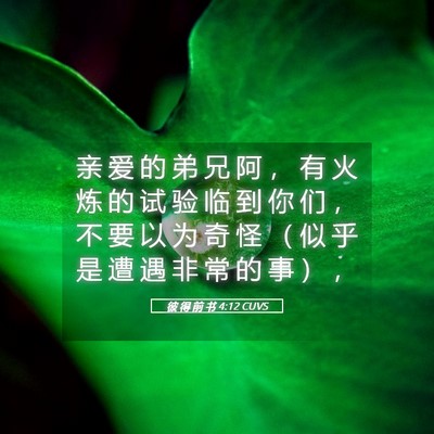 Picture 05 - 彼 得 前 书 4:12 CUVS - 亲 爱 的 弟 兄 阿 ， 有 火 炼 的 试 - Bible Verse Picture