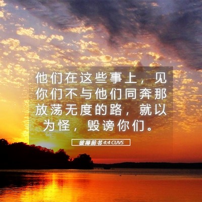 Picture 05 - 彼 得 前 书 4:4 CUVS - 他 们 在 这 些 事 上 ， 见 你 们 不 - Bible Verse Picture