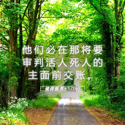 Picture 05 - 彼 得 前 书 4:5 CUVS - 他 们 必 在 那 将 要 审 判 活 人 死 - Bible Verse Picture