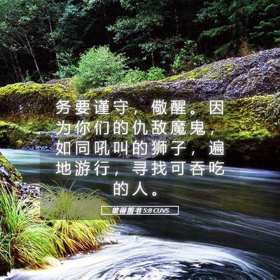 Picture 05 - 彼 得 前 书 5:8 CUVS - 务 要 谨 守 ， 儆 醒 。 因 为 你 们 - Bible Verse Picture