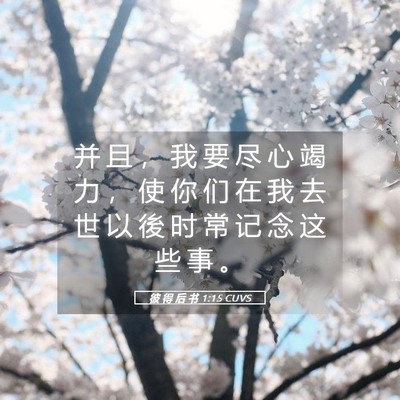 Picture 05 - 彼 得 后 书 1:15 CUVS - 并 且 ， 我 要 尽 心 竭 力 ， 使 你 - Bible Verse Picture