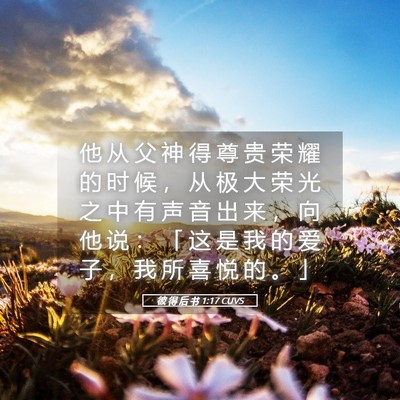 Picture 05 - 彼 得 后 书 1:17 CUVS - 他 从 父 神 得 尊 贵 荣 耀 的 时 候 - Bible Verse Picture