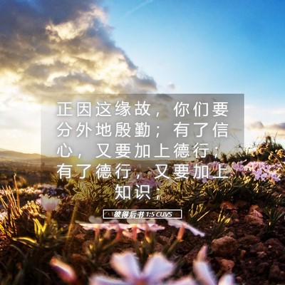 Picture 05 - 彼 得 后 书 1:5 CUVS - 正 因 这 缘 故 ， 你 们 要 分 外 地 - Bible Verse Picture