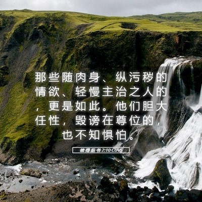 Picture 05 - 彼 得 后 书 2:10 CUVS - 那 些 随 肉 身 、 纵 污 秽 的 情 欲 - Bible Verse Picture