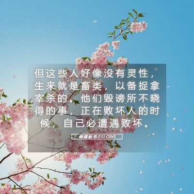 Picture 05 - 彼 得 后 书 2:12 CUVS - 但 这 些 人 好 像 没 有 灵 性 ， 生 - Bible Verse Picture