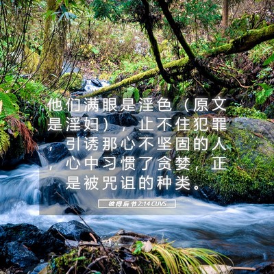 Picture 05 - 彼 得 后 书 2:14 CUVS - 他 们 满 眼 是 淫 色 （ 原 文 是 淫 - Bible Verse Picture