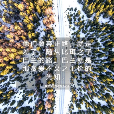 Picture 05 - 彼 得 后 书 2:15 CUVS - 他 们 离 弃 正 路 ， 就 走 差 了 ， - Bible Verse Picture