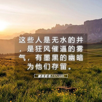 Picture 05 - 彼 得 后 书 2:17 CUVS - 这 些 人 是 无 水 的 井 ， 是 狂 风 - Bible Verse Picture