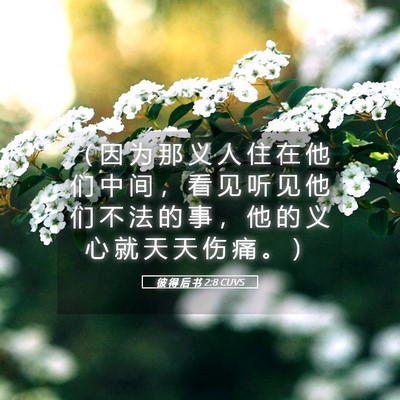 Picture 05 - 彼 得 后 书 2:8 CUVS - （ 因 为 那 义 人 住 在 他 们 中 间 - Bible Verse Picture
