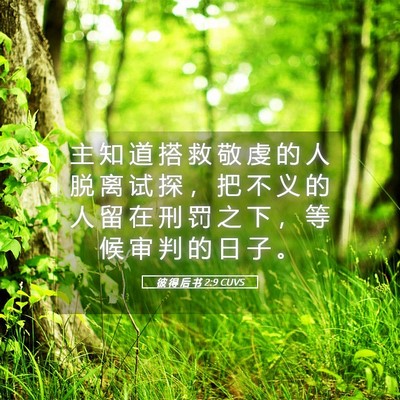 Picture 05 - 彼 得 后 书 2:9 CUVS - 主 知 道 搭 救 敬 虔 的 人 脱 离 试 - Bible Verse Picture