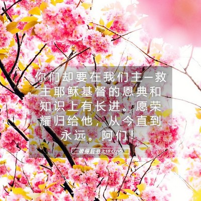 Picture 05 - 彼 得 后 书 3:18 CUVS - 你 们 却 要 在 我 们 主 ─ 救 主 耶 - Bible Verse Picture