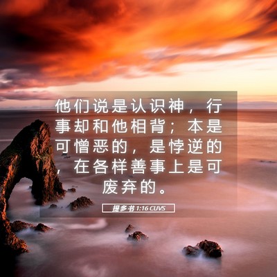 Picture 05 - 提 多 书 1:16 CUVS - 他 们 说 是 认 识 神 ， 行 事 却 和 - Bible Verse Picture