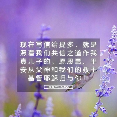 Picture 05 - 提 多 书 1:4 CUVS - 现 在 写 信 给 提 多 ， 就 是 照 着 - Bible Verse Picture