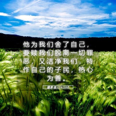 Picture 05 - 提 多 书 2:14 CUVS - 他 为 我 们 舍 了 自 己 ， 要 赎 我 - Bible Verse Picture