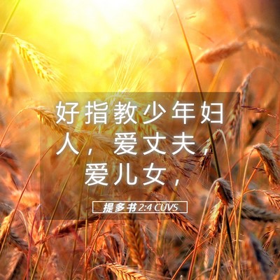 Picture 05 - 提 多 书 2:4 CUVS - 好 指 教 少 年 妇 人 ， 爱 丈 夫 ， - Bible Verse Picture