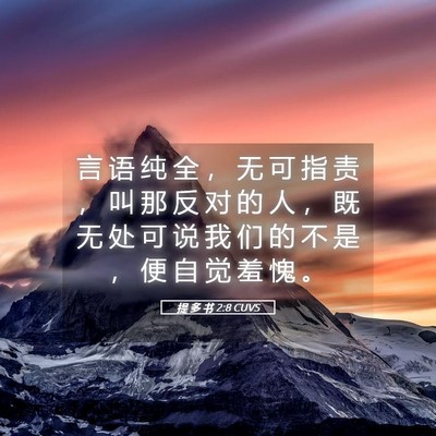 Picture 05 - 提 多 书 2:8 CUVS - 言 语 纯 全 ， 无 可 指 责 ， 叫 那 - Bible Verse Picture