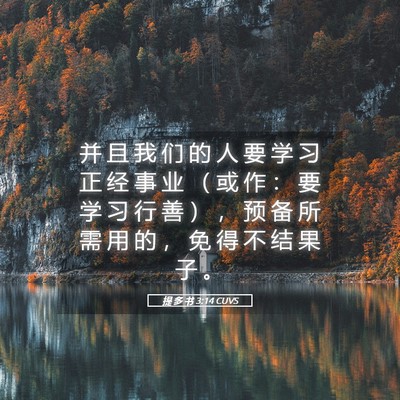 Picture 05 - 提 多 书 3:14 CUVS - 并 且 我 们 的 人 要 学 习 正 经 事 - Bible Verse Picture