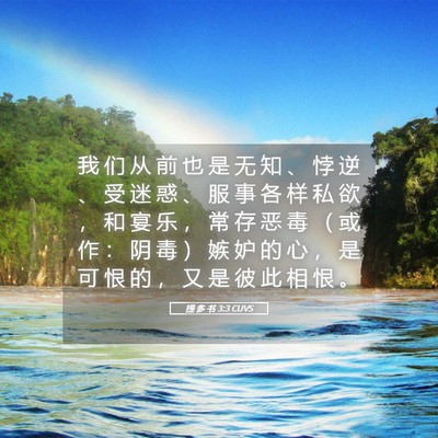 Picture 05 - 提 多 书 3:3 CUVS - 我 们 从 前 也 是 无 知 、 悖 逆 、 - Bible Verse Picture