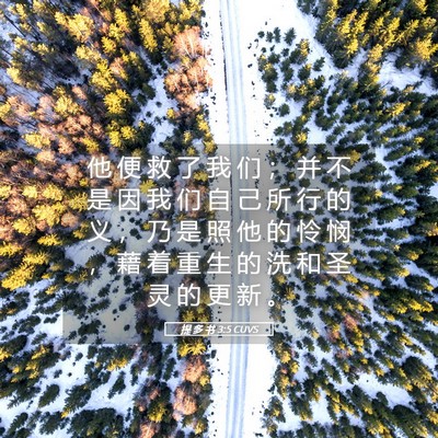 Picture 05 - 提 多 书 3:5 CUVS - 他 便 救 了 我 们 ； 并 不 是 因 我 - Bible Verse Picture