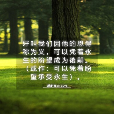 Picture 05 - 提 多 书 3:7 CUVS - 好 叫 我 们 因 他 的 恩 得 称 为 义 - Bible Verse Picture