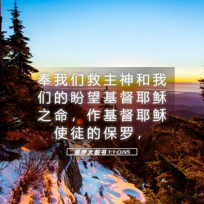 Picture 05 - 提 摩 太 前 书 1:1 CUVS - 奉 我 们 救 主 神 和 我 们 的 盼 望 - Bible Verse Picture