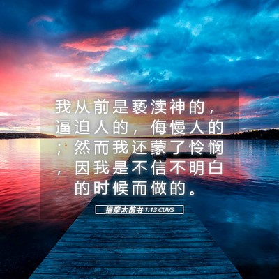 Picture 05 - 提 摩 太 前 书 1:13 CUVS - 我 从 前 是 亵 渎 神 的 ， 逼 迫 人 - Bible Verse Picture