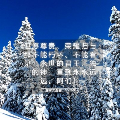 Picture 05 - 提 摩 太 前 书 1:17 CUVS - 但 愿 尊 贵 、 荣 耀 归 与 那 不 能 - Bible Verse Picture