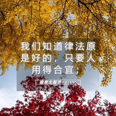 Picture 05 - 提 摩 太 前 书 1:8 CUVS - 我 们 知 道 律 法 原 是 好 的 ， 只 - Bible Verse Picture