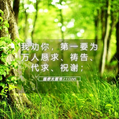 Picture 05 - 提 摩 太 前 书 2:1 CUVS - 我 劝 你 ， 第 一 要 为 万 人 恳 求 - Bible Verse Picture