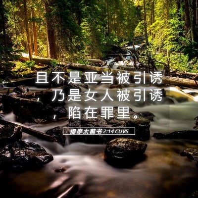 Picture 05 - 提 摩 太 前 书 2:14 CUVS - 且 不 是 亚 当 被 引 诱 ， 乃 是 女 - Bible Verse Picture