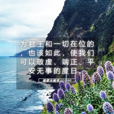 Picture 05 - 提 摩 太 前 书 2:2 CUVS - 为 君 王 和 一 切 在 位 的 ， 也 该 - Bible Verse Picture
