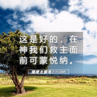 Picture 05 - 提 摩 太 前 书 2:3 CUVS - 这 是 好 的 ， 在 神 我 们 救 主 面 - Bible Verse Picture