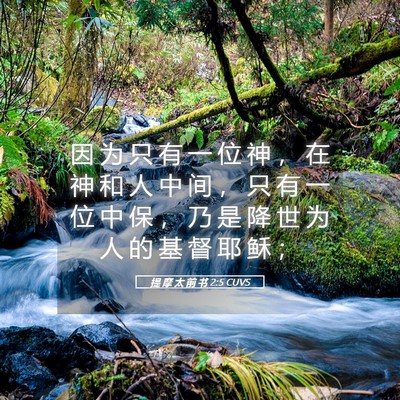 Picture 05 - 提 摩 太 前 书 2:5 CUVS - 因 为 只 有 一 位 神 ， 在 神 和 人 - Bible Verse Picture