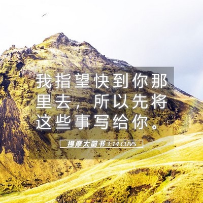 Picture 05 - 提 摩 太 前 书 3:14 CUVS - 我 指 望 快 到 你 那 里 去 ， 所 以 - Bible Verse Picture