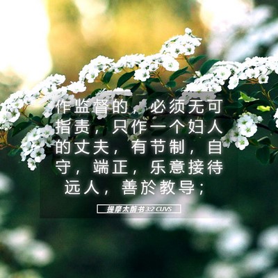 Picture 05 - 提 摩 太 前 书 3:2 CUVS - 作 监 督 的 ， 必 须 无 可 指 责 ， - Bible Verse Picture