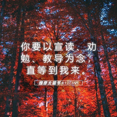 Picture 05 - 提 摩 太 前 书 4:13 CUVS - 你 要 以 宣 读 、 劝 勉 、 教 导 为 - Bible Verse Picture