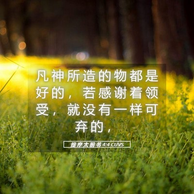 Picture 05 - 提 摩 太 前 书 4:4 CUVS - 凡 神 所 造 的 物 都 是 好 的 ， 若 - Bible Verse Picture