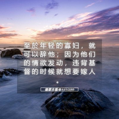 Picture 05 - 提 摩 太 前 书 5:11 CUVS - 至 於 年 轻 的 寡 妇 ， 就 可 以 辞 - Bible Verse Picture