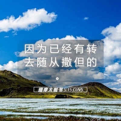 Picture 05 - 提 摩 太 前 书 5:15 CUVS - 因 为 已 经 有 转 去 随 从 撒 但 的 - Bible Verse Picture