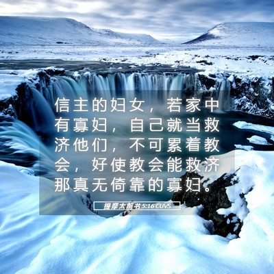 Picture 05 - 提 摩 太 前 书 5:16 CUVS - 信 主 的 妇 女 ， 若 家 中 有 寡 妇 - Bible Verse Picture