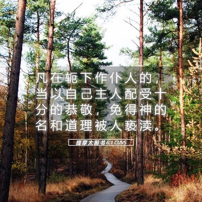 Picture 05 - 提 摩 太 前 书 6:1 CUVS - 凡 在 轭 下 作 仆 人 的 ， 当 以 自 - Bible Verse Picture