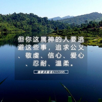 Picture 05 - 提 摩 太 前 书 6:11 CUVS - 但 你 这 属 神 的 人 要 逃 避 这 些 - Bible Verse Picture